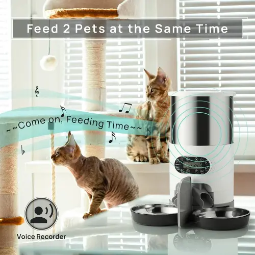 double bowl automatic dog feeder with voice recorder
