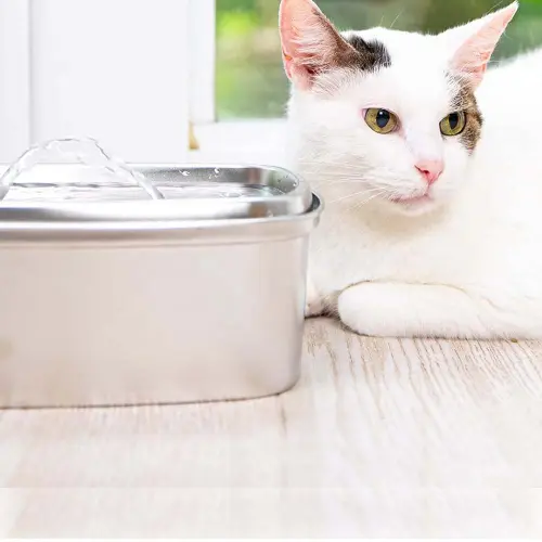 Quiet Pump stainless steel pet water fountain and cat